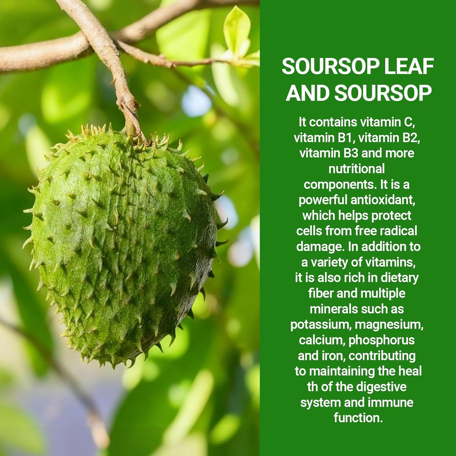 Revitalize Your Health with Soursop Bitters Fruit Liquid Drops - 10-in-1 Powerhouse with Sea Moss, Moringa, Turmeric, Black Seed Oil, Oregano, and Ashwagandha | Vegan & Non-GMO | 60ml
