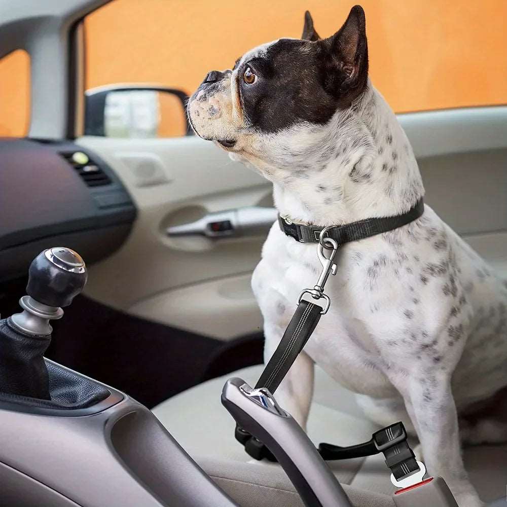 2Pcs Dog Seat Belt Adjustable Dog Car for Vehicle Pet Safety with Elastic Bungee Buffer Reflective & Durable Car Harness for Dog - Prime Choice